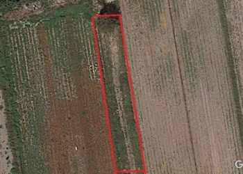 Il satellite mostra l’antica Domitiana. Un tratto della strada romana visibile dall’alto solo nei mesi estivi