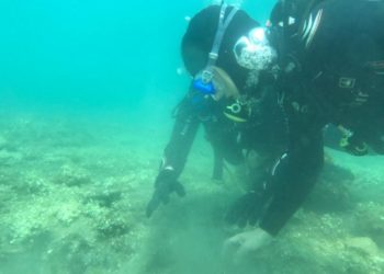 Le sorprese del Parco Archeologico dei Campi Flegrei