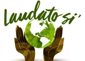 Circoli Laudato si’, la conversione ecologica per il futuro