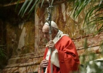 Papa Francesco nella celebrazione per la Domenica delle Palme. Bisogna lasciarsi ancora stupire