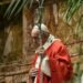 Papa Francesco nella celebrazione per la Domenica delle Palme. Bisogna lasciarsi ancora stupire