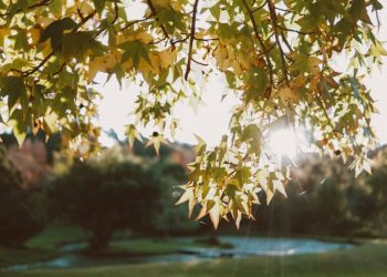 Battaglia: “Grazie a chi la camorra la guarda in faccia, dritta negli occhi e senza piegare la schiena”