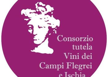 Consorzio Tutela Vini Campi Flegrei e Ischia: via libera dal Ministero