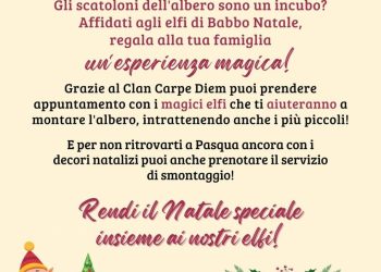 Vuoi prendere gli scatoloni e addobbare il tuo albero di Natale? Ci pensano gli scout del Napoli VIII