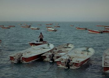 Torna a Napoli il Pianeta Mare Film Festival Internazionale. Sul grande schermo i temi ambientali