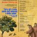 Cura del Creato e della salute. A Trecase convegno a dieci anni dalla Laudato si’